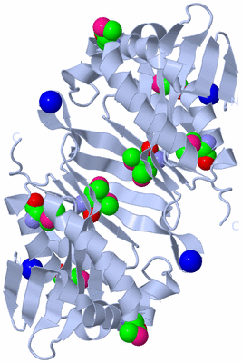 Image Biological Unit 2