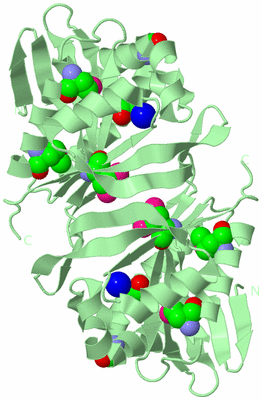 Image Biological Unit 3