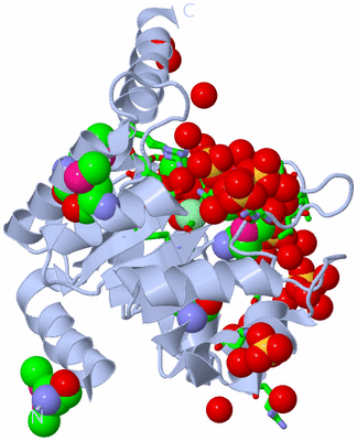 Image Biol. Unit 1 - sites