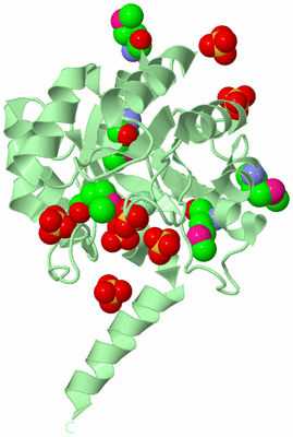 Image Biological Unit 2