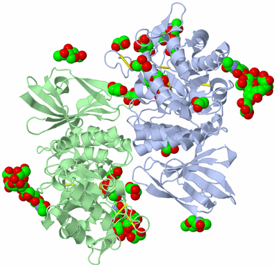 Image Asym./Biol. Unit