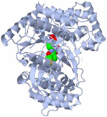 Image Biological Unit 1