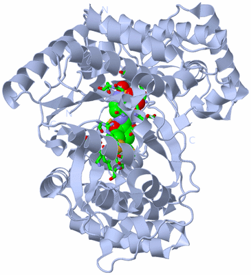 Image Biol. Unit 1 - sites