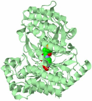 Image Biological Unit 2