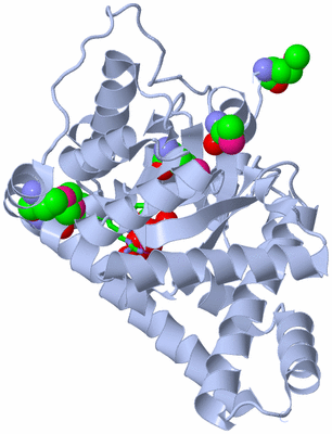 Image Biol. Unit 1 - sites