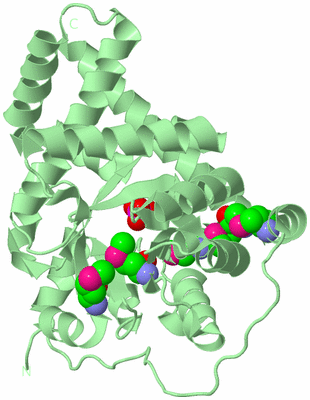 Image Biological Unit 2