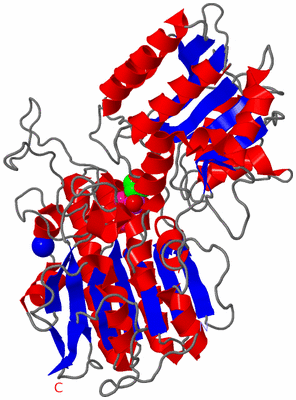 Image Asym./Biol. Unit