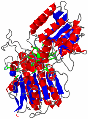 Image Asym./Biol. Unit - sites