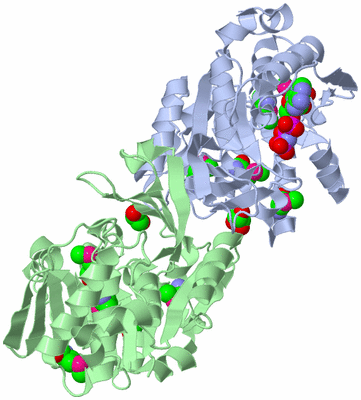 Image Asym./Biol. Unit