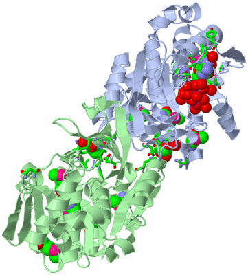 Image Asym./Biol. Unit - sites