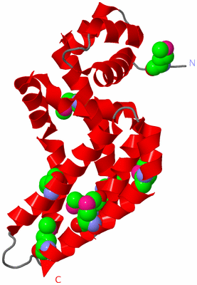 Image Asymmetric Unit