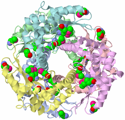 Image Asym./Biol. Unit