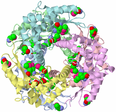 Image Asym./Biol. Unit - sites