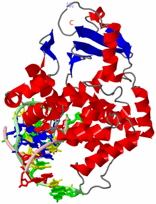 Image Asym./Biol. Unit