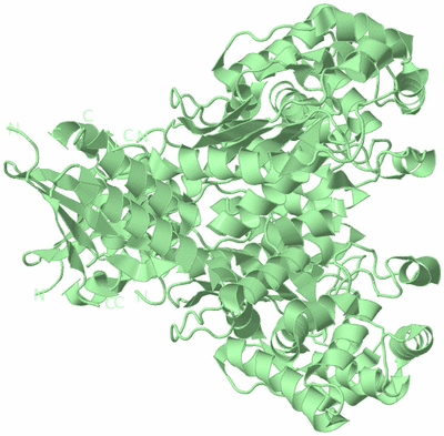 Image Biological Unit 2