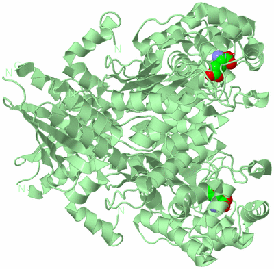 Image Biological Unit 2