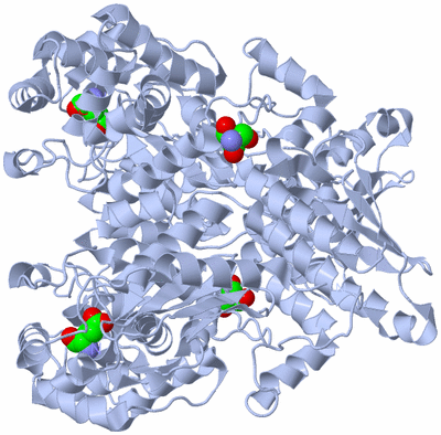 Image Biological Unit 1