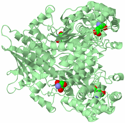 Image Biological Unit 2