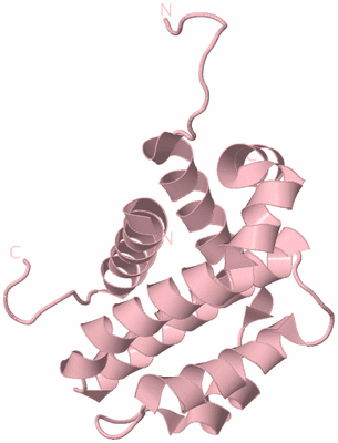 Image Biological Unit 3