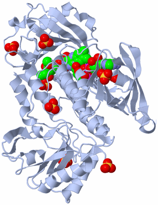 Image Biological Unit 1