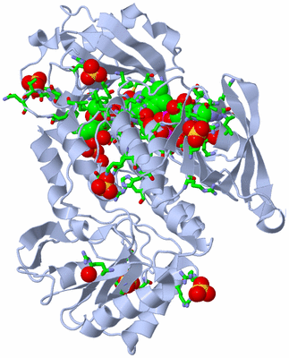 Image Biol. Unit 1 - sites