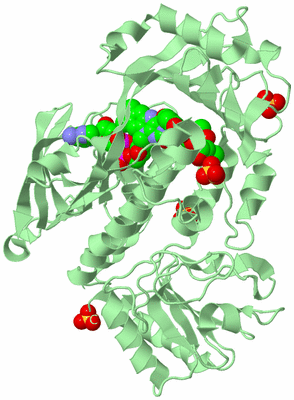 Image Biological Unit 2