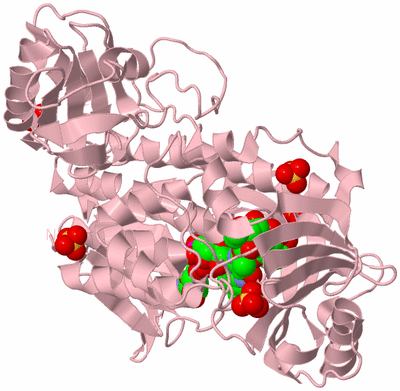 Image Biological Unit 3