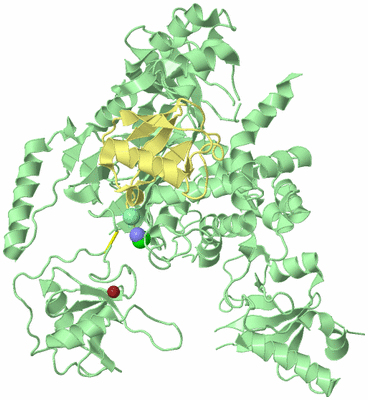 Image Biological Unit 2