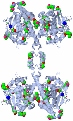 Image Biol. Unit 1 - sites