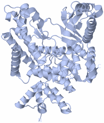 Image Biological Unit 1