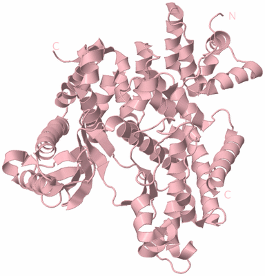 Image Biological Unit 3