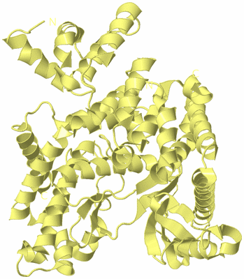 Image Biological Unit 4