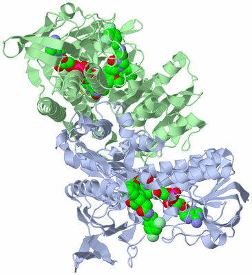 Image Asym./Biol. Unit