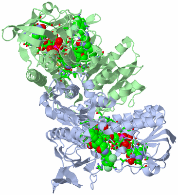 Image Asym./Biol. Unit - sites