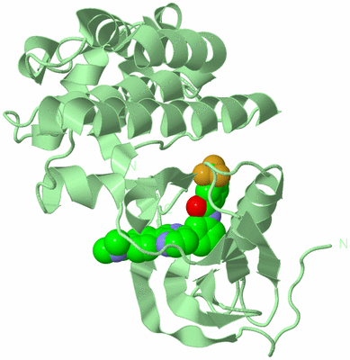 Image Biological Unit 2