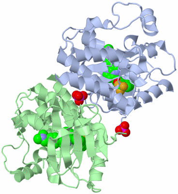 Image Biological Unit 3