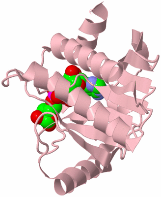 Image Biological Unit 3