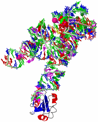 Image Asym./Biol. Unit