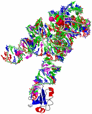 Image Asym./Biol. Unit - sites