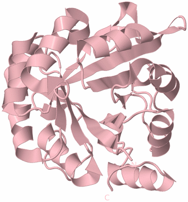 Image Biological Unit 3