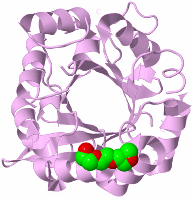 Image Biological Unit 5