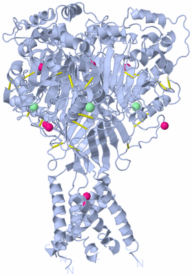 Image Biological Unit 1