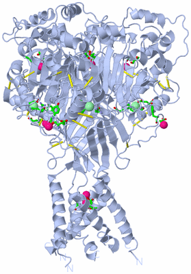 Image Biol. Unit 1 - sites