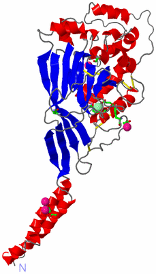 Image Asym. Unit - sites