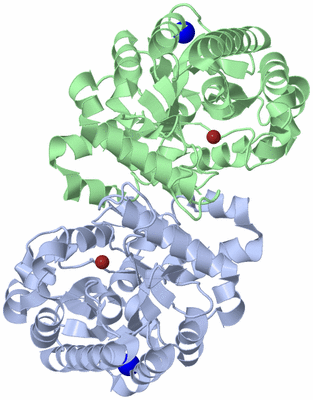 Image Biological Unit 1