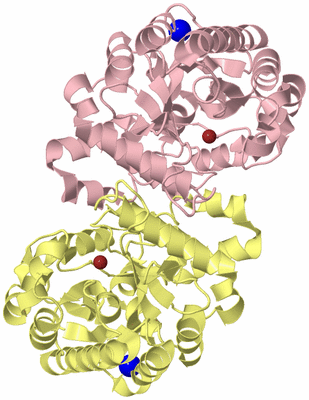 Image Biological Unit 2