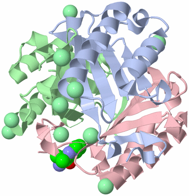 Image Asym./Biol. Unit