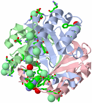 Image Asym./Biol. Unit - sites