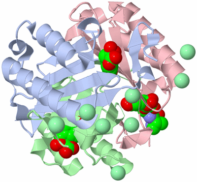 Image Asym./Biol. Unit