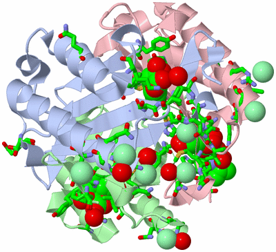 Image Asym./Biol. Unit - sites